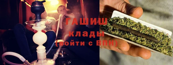 дмт Новозыбков
