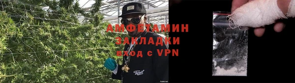 индика Новокубанск