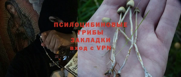 индика Новокубанск