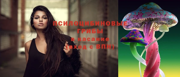 гашиш Новодвинск