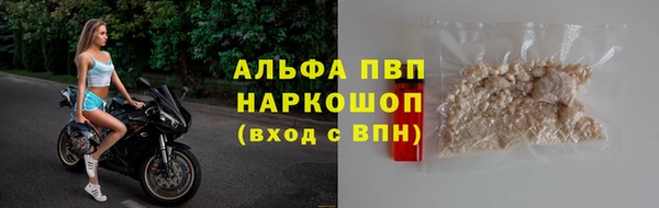 дмт Новозыбков