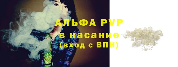 индика Новокубанск