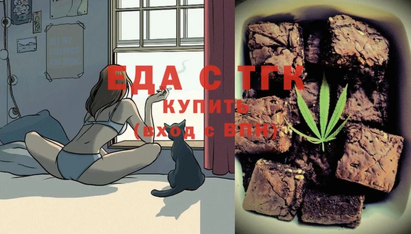 дмт Новозыбков