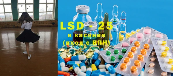 индика Новокубанск