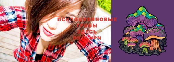 гашиш Новодвинск