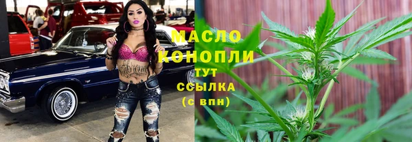 индика Новокубанск