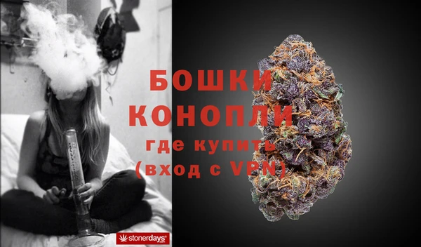 дмт Новозыбков