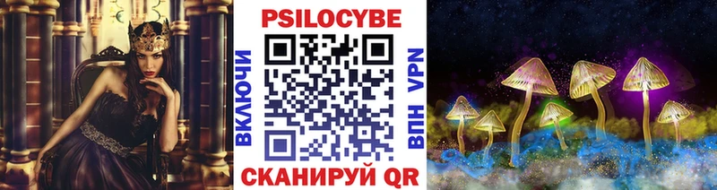 Купить закладки  Хадыженск  Псилоцибиновые грибы GOLDEN TEACHER 